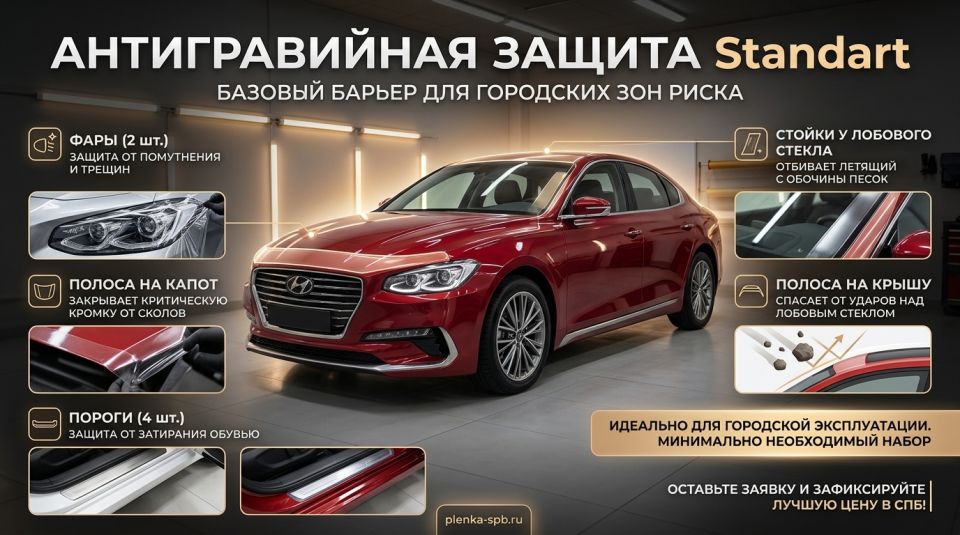 Антигравийная защита Standart